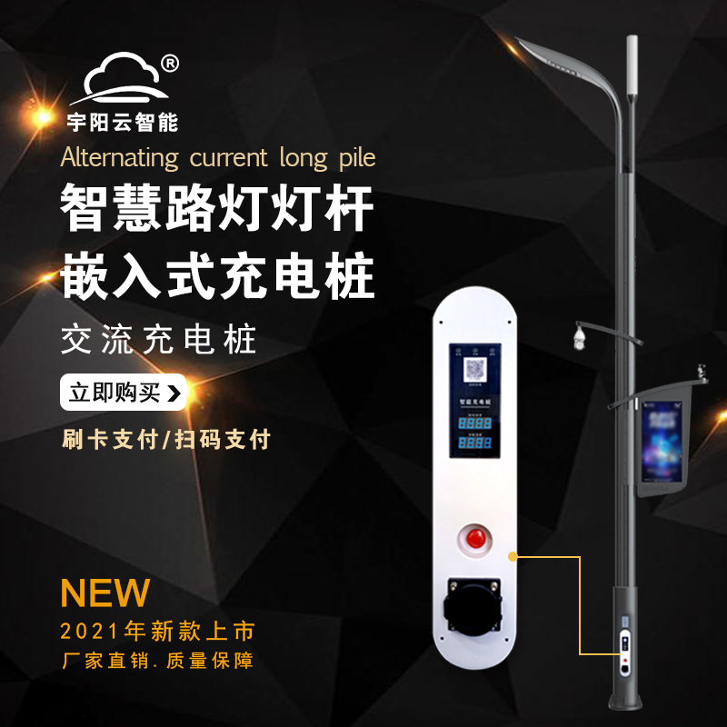 電動(dòng)汽車(chē)新能源交流智慧路燈燈桿充電樁單槍雙槍